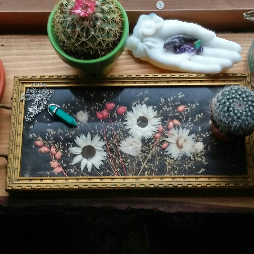 Vintage dried flower tray 🌼🌼🌼